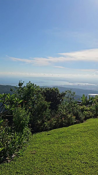 Taff Sells Real Estate on TikTok