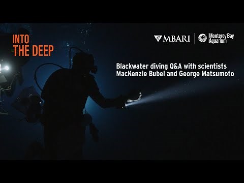 Live Blackwater Diving Q&A with Aquarium and MBARI Scientists! | Into The Deep