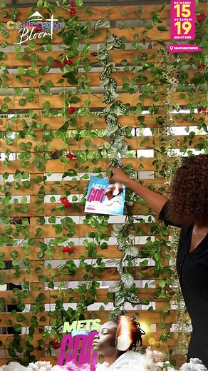 ON NE PARLE QUE DE ÇA, C’SUCCOTH BLOOM EST BIEN DE RETOUR ! 🥳 #csuccothbloom #succothbloom