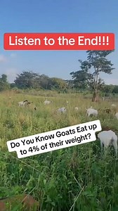 8.2K views · 107 reactions |  Starting a Goat Farm? The first secret...