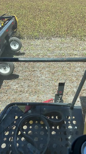 Harvesting Mung Beans with MacDon Equipment