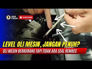 Sebaiknya Level Oli Mesin di H atau bawah H? awas oli terlalu penuh