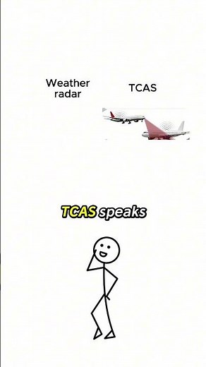 Weather Radar vs TCAS Explained In 30 Seconds — Aviation Basics