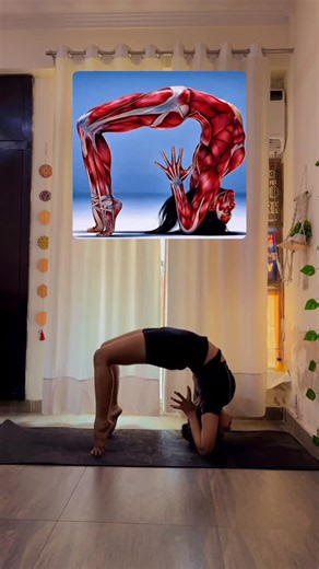 Riya Bhadauria on Instagram: "Backbend Challenge ✅ #backbendchallenge #wheelpose"