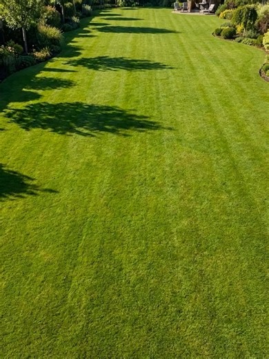 Building the Ultimate Treble Clef Koi Sanctuary! #KoiPond #Landscaping #GardenDesign #WaterFeature #BackyardMakeover #LuxuryGarden #GardenArt