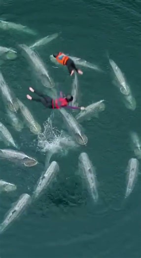 OMG! Heart shattered by this waterslide into a giant fish hole! #funny #memes