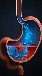 3K views · 18 reactions | "Ever wondered how antacids fight acidity...