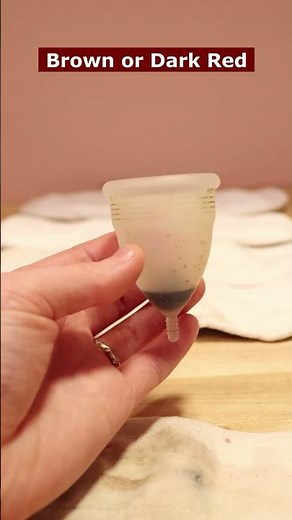 Period Blood Colors Explained 🔴 🟤 🌸 🟠