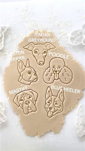 Greyhound, Boston Terrier, Poodle, Mastiff, Blue Heeler 🐶 Dog face cookie cutters for pet lovers ❤️