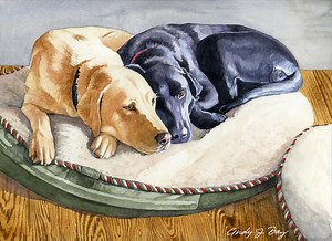 Labrador Watercolor, Yellow Labrador, Black Lab, Labrador Art, Labrador Retriever, Labrador Art, Watercolor Art Print, Dog Lover Gift - Etsy