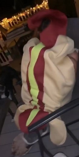 Raw footage of my brain since the roman empire trend started