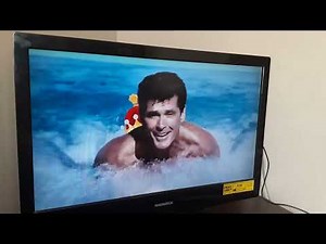 David Hasselhoff the hero from Spongebob movie 1