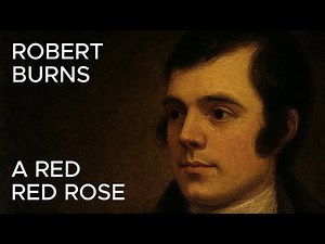 O My Luve’s Like a Red, Red Rose - Robert Burns’ Timeless Romantic Verse