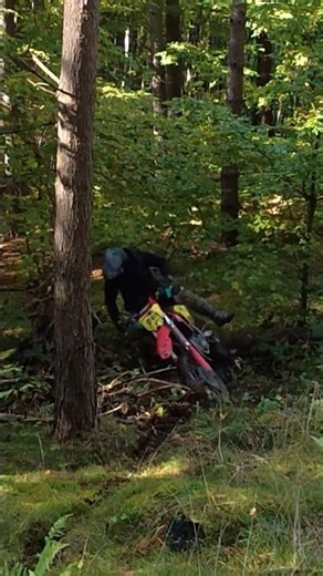 Honda CRF: The Ultimate Log Test