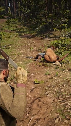 Survival Skill in Red Dead Redemption 2 P1185 #rdr2 #survivaltips #gamingshorts #gaming #shorts