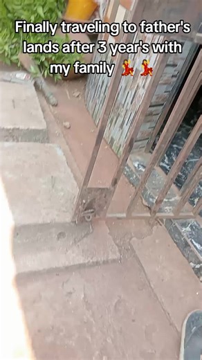 Traveling to Father's Land for Family Wedding Celebration