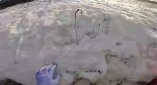 24K views · 298 reactions | @train.in.the.brain | Yard 5 Graffiti Berlin | Facebook