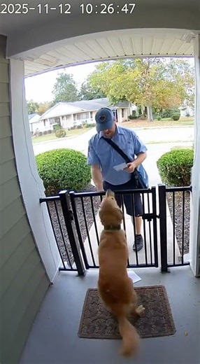 Dog vs Mailman | Real Security Camera Footage