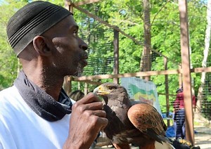 US drug dealer turned master falconer extols 'healing power' of wildlife
