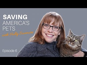 How to help orphaned kittens with the Kitten Lady on Saving America’s Pets / Hannah Shaw