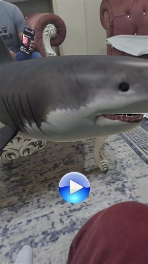Tamara Steva (@tamara.steva)’s videos with Fake Shark Attack - TikTok