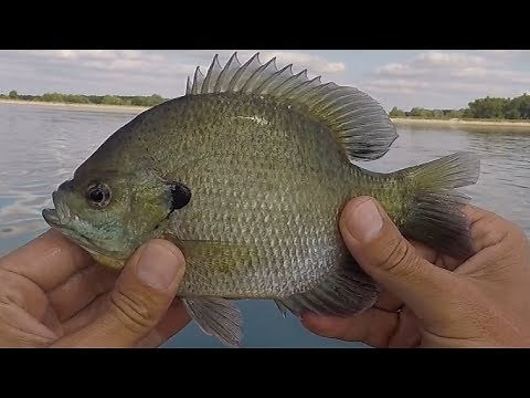2019 #36 - Kayak Fishing at a Reservoir in Lima, Ohio - {1080p}