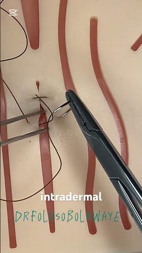 Simple intradermal suture #sutures #vetstudents #vetschool #inversion #surgicalskills #vetsurgeon
