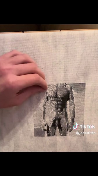 Cross stitch speed: internet vs reality #crossstitch #crossstitchoftiktok #crossstitching #crossstitchpattern #howtocrossstitch