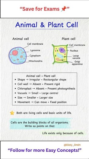 “Why Plant Cells Are Stronger Than Animal Cells 🌱💥”