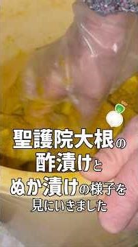 聖護院大根の酢漬けとぬか漬けの様子を見てきたばあちゃん #shorts