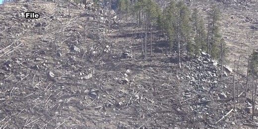 Tips to protect homes in wildfire-prone areas