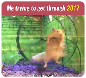 299K views · 1.4K shares | My life in a nutshell! | FilterCopy | Facebook