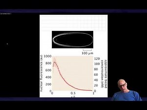 Positional information: Reaction-diffusion equation