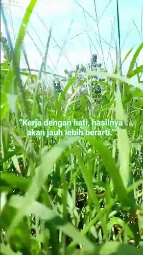 Ikhlaslah dalam bekerja #shorts