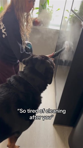 Understanding Our Dogs' Needs: The Importance of Time