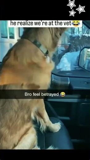 You Won’t Believe What Happened Next… #Trending #ViralVideo #MustWatch #ContentCreator