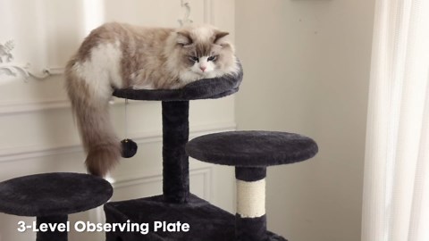 Indoor Cat Tree, 54 Inch Cat Tower Comfortable Plush Multi-Layer Recreation Areas with Cat Condo,Climbing Ladder,Sisal Scratching Post,Dangling Ball Toy for Cat Furniture