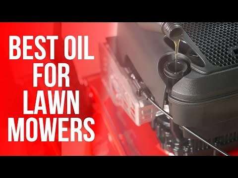 Best Oil For Lawn Mowers: Ultimate Guide (Our Best List)