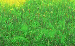 Can you reheat cooked breaded fish? [2025] | QAQooking.wiki