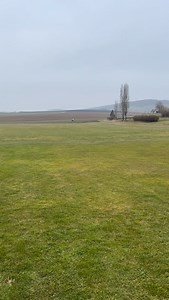 Landing the Alpha Jet from @modellbau_lindinger | Dietmar Sinn