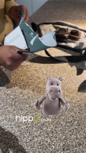 Quickly Compare Car Insurance Quotes with Hippo.co.za