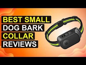 Top 5 Best Small Dog Bark Collar Reviews | Tinybarktamerreviews