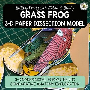 Frog Dissection Zoology | Biology 3-D Anatomy Paper Dissection Model & Lesson