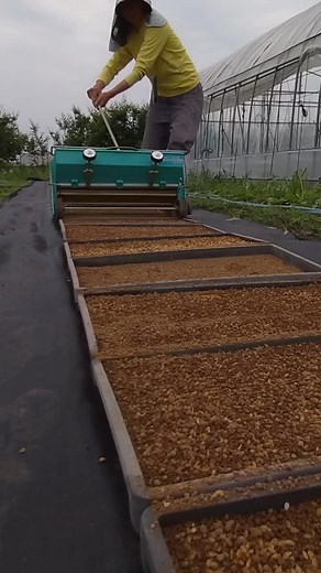 Seed Sorting Techniques on a Farm