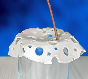 3.6M views · 10K reactions | Unique DIY craft from cement and styrofoam!: | 5-Minute Crafts | Facebook