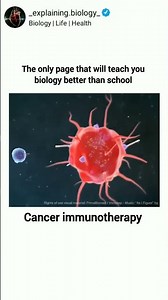 explaining biology psrt 56