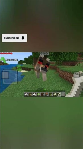 Taming Failed ❌ Wolves Attacked Me | Minecraft Survival #minecraft #survival #wolf #pets #gameplay