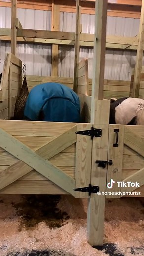 Unique Custom Horse Stalls Design | Construction TikTok