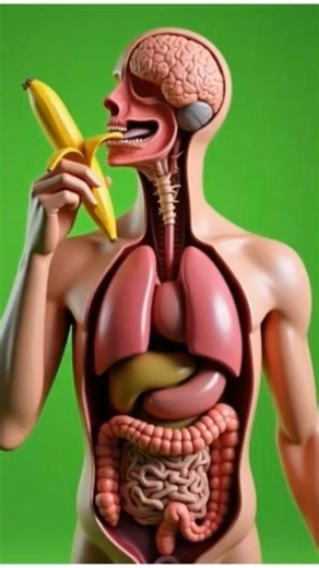 Banana Khane Ke Top 5 Fayde 🍌 | Health Tips#banana #trending #trendingshorts