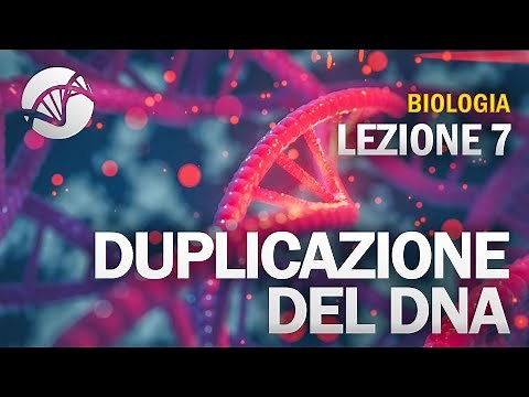 BIOLOGY - Lesson 7 - DNA Replication